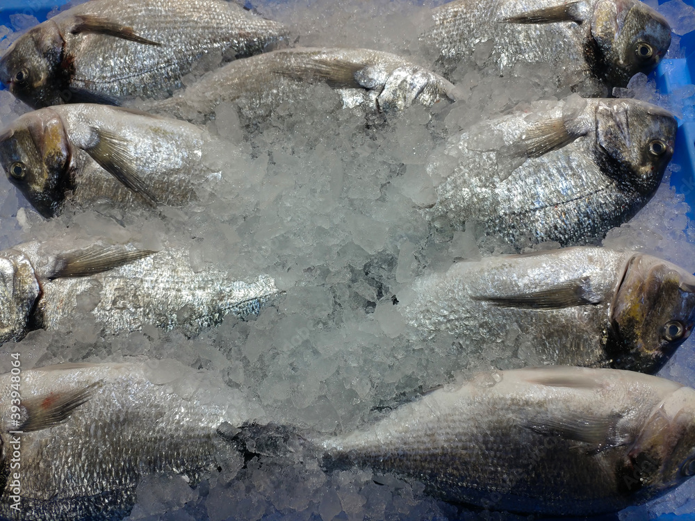 ryby jedzenie morskie srebrne świeże lód - obrazy, fototapety, plakaty 