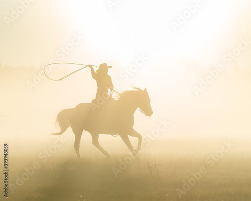 silhouette of a lasso horse in the sunset