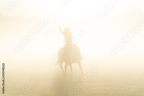 silhouette of a lasso horse in the sunset