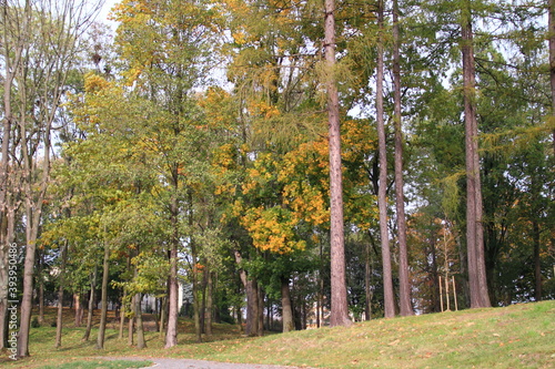 Fototapeta Naklejka Na Ścianę i Meble -  Zarzecze park