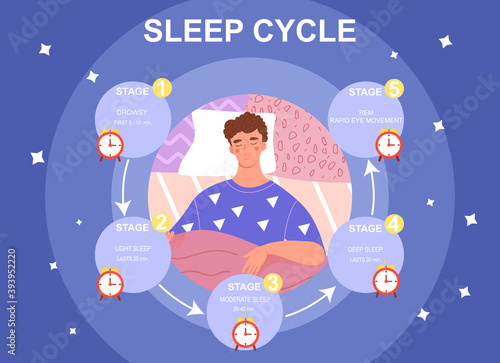 Sleep cycle infographics. Stage of sleep during the night. Phase of deep and moderate sleep, drowsy time. Flat cartoon vector illustration with fictional character