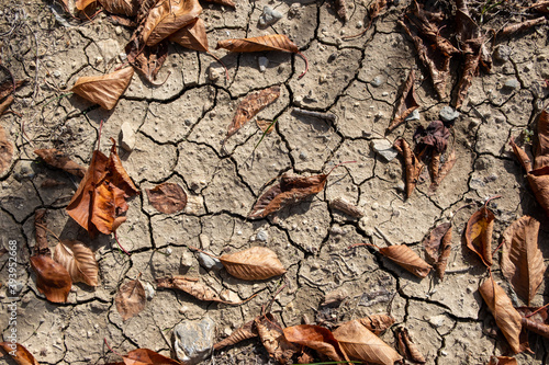 Natural soil texture. Dehydration of soil. Environmental disaster. Dry cracked earth. Drought.