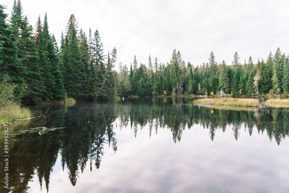 Reflection of the forest on a lake in Algonquin Park, Ontario