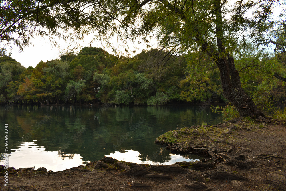 Lago de Camecuaro con árboles en sus orillas. Lago de Camecuaro con árboles en sus orillas.