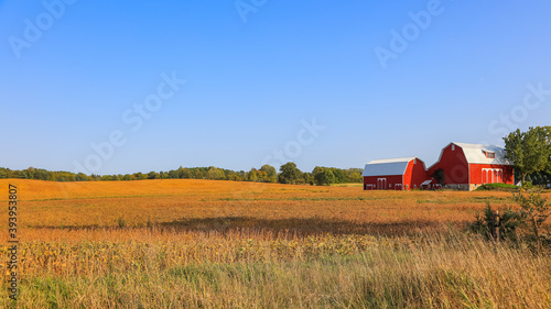 Red barn in the fields of Michigan