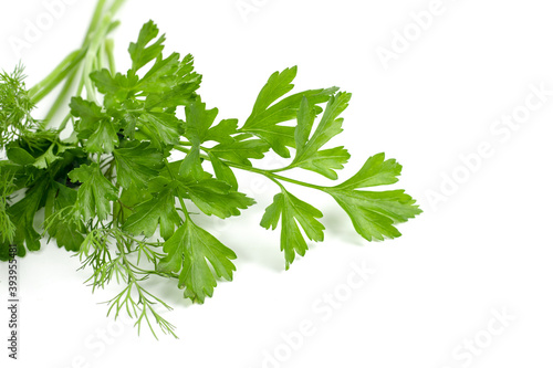 dill parsley to spices bunch isolated on white background