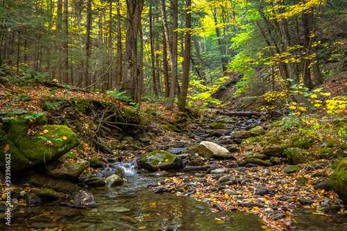 Water winds through the woods on the slopes of a mountain in the Berkshires photo