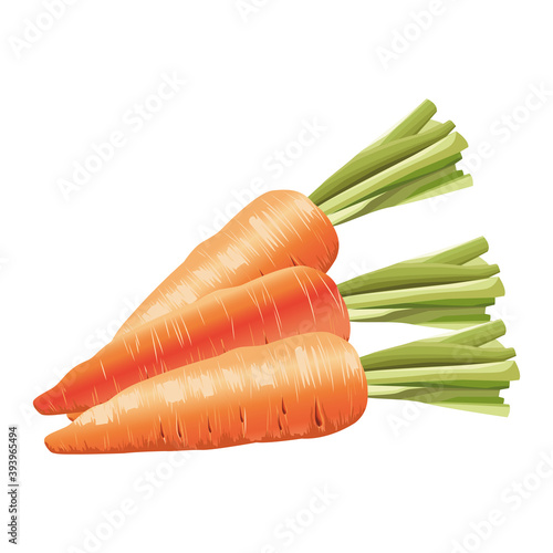 fresh carrots vegetables healthy icons