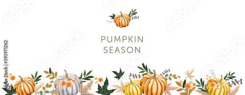 Autumn design template border with orange, gray pumpkins, maple leaves. Vector illustration. October harvest background. Organic vegetable garden food. Nature design. Fall season