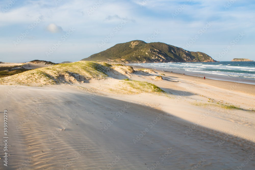 Dunas da Praia tropical, Praia do Santinho, Florianopolis, Santa Catarina, Brasil, Florianópolis, Dunas da Praia tropical, Praia do Santinho, Florianopolis, Santa Catarina, Brasil, Florianópolis,