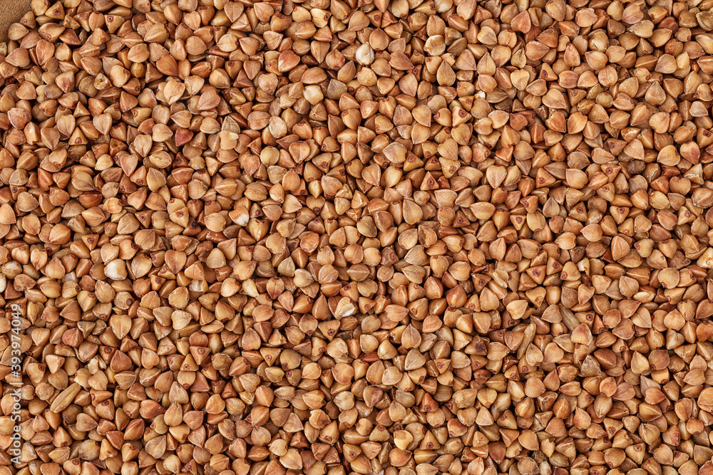 Close-up buckwheat background.Buckwheat. fresh buckwheat. Close-up buckwheat background.Buckwheat. fresh buckwheat.