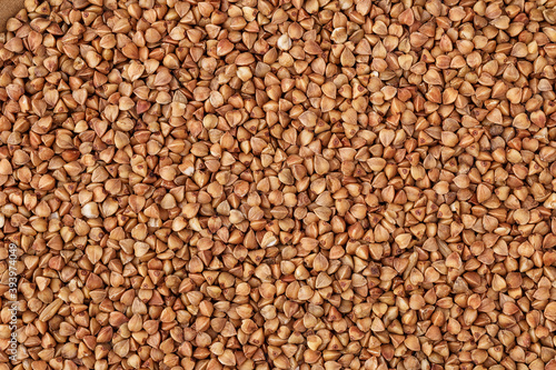  Close-up buckwheat background.Buckwheat. fresh buckwheat.