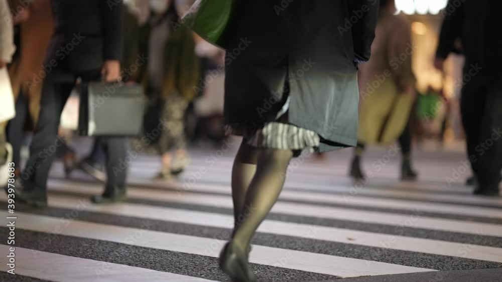 Shibuya Crossing Shibuya Crossing