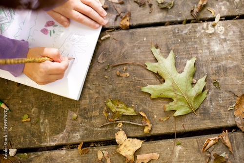 Child Drawing Fall Leaves While Studying Nature Outside, Art Class, Science