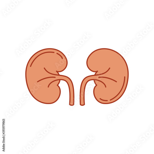 Simple icon kidneys, internal human organs. Kidneys vector illustration.