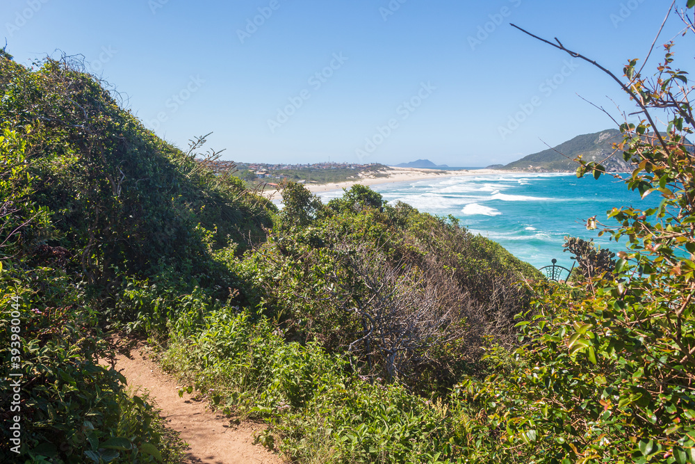 Trilha do Morro das Aranhas em Praia tropical do sul do Brasil ilha de Florianópolis Praia do