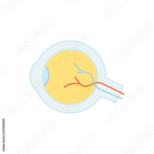 Simple icon of human eye, internal human organs. Eye vector illustration.