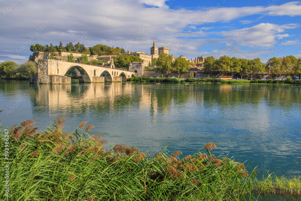 Avignon, The Bridge and the palace of the Popes, Vaucluse, France 