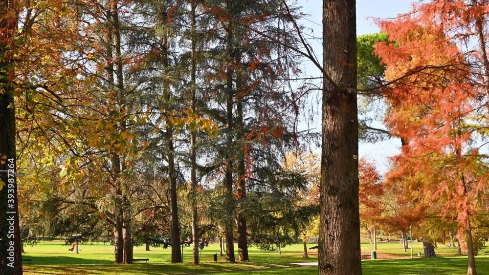 The quadcopter hovers in the autumn park. Modern technological toys for adults and children. Drone in the air. High quality 4k footage The quadcopter hovers in the autumn park. Modern technological toys for adults and children. Drone in the air. High quality 4k footage