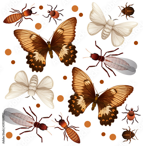 Set of different insects on white background © blueringmedia