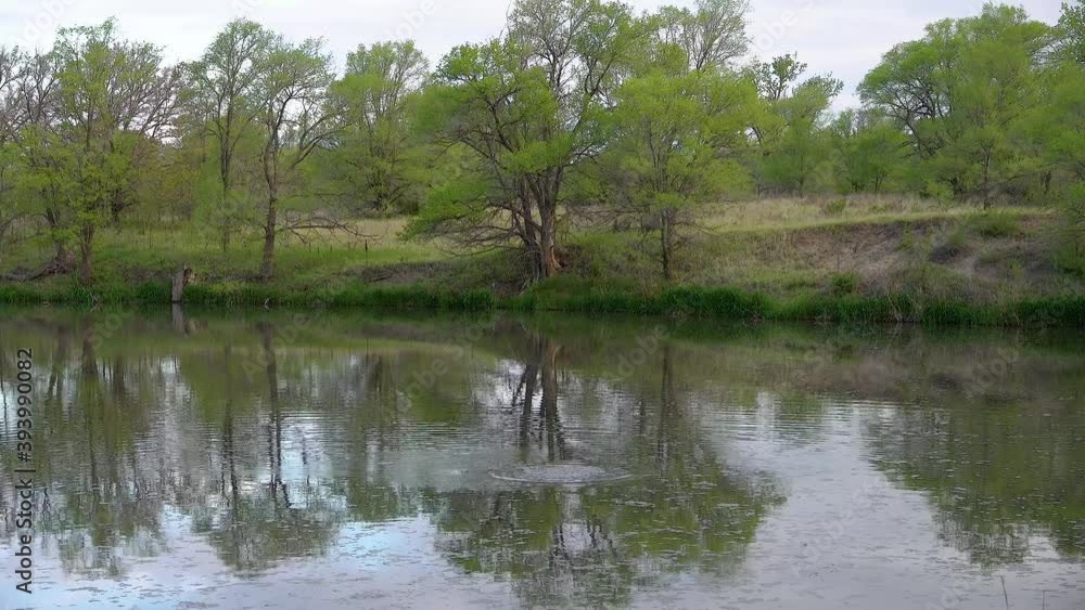 Reflection of trees in the lake water, Utah