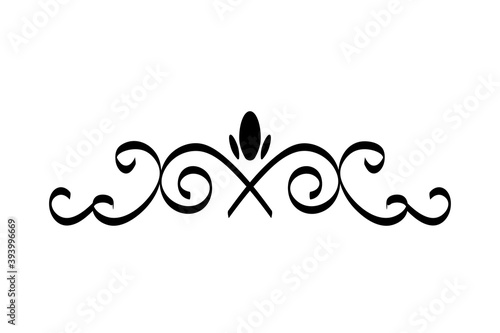 elegant divider with floral forms icon