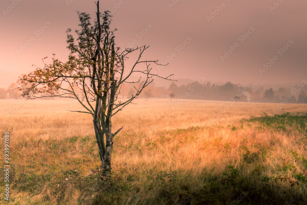 Autumn sunrise in the mountains