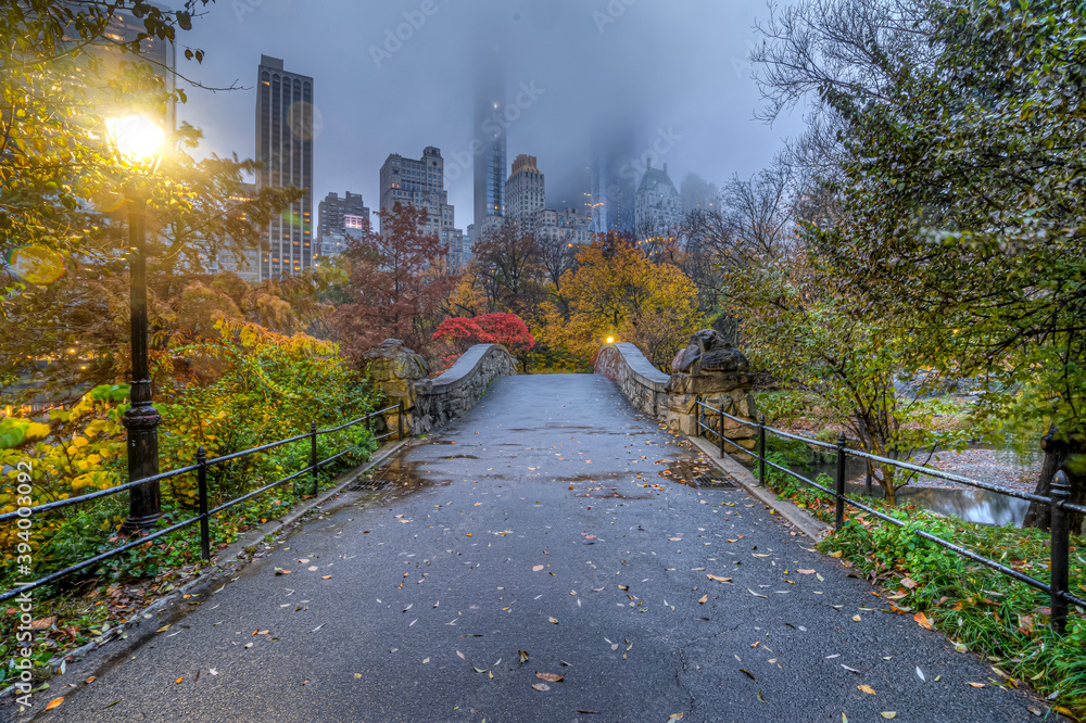 Obraz premium Gapstow Bridge in Central Park