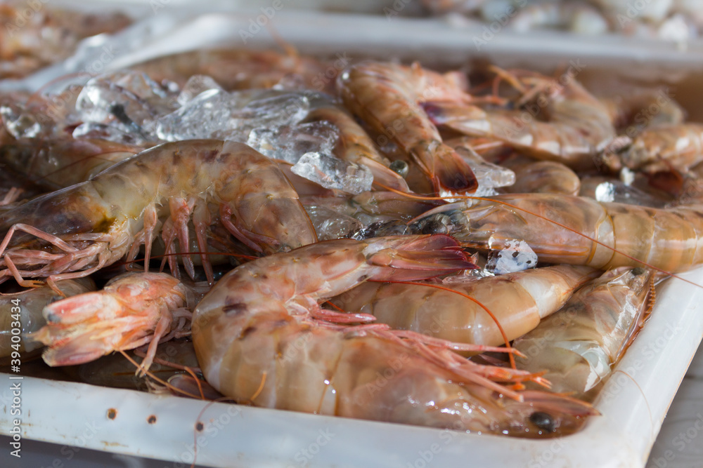 Fresh shrimp with shells and head preserved in ice. Fishmongers and fish markets. Seafood. Fresh shrimp with shells and head preserved in ice. Fishmongers and fish markets. Seafood.