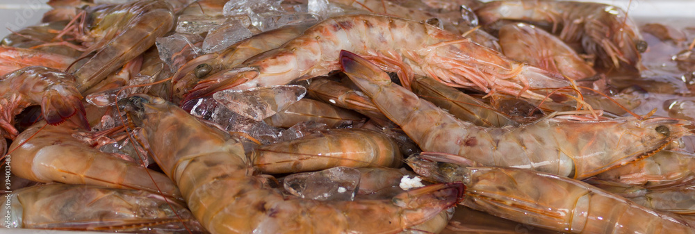 Fresh shrimp on ice. Close-up photograph of raw seafood. Fishmonger and Fish Market. Fresh shrimp on ice. Close-up photograph of raw seafood. Fishmonger and Fish Market.