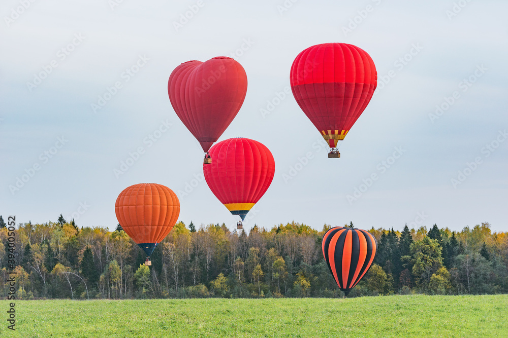 Naklejka premium Morning flight of the hot air balloons above the meadow.
