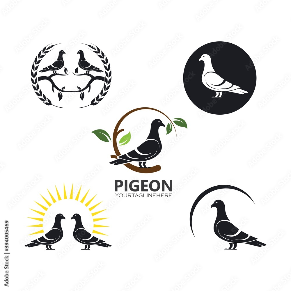 pigeon icon vector illustration design template pigeon icon vector illustration design template