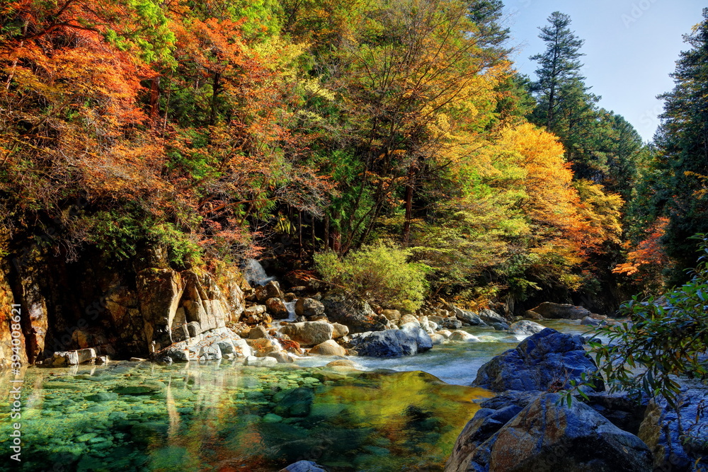 阿寺渓谷の紅葉
