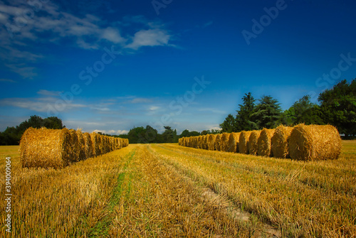 Perspective de bottes de paille