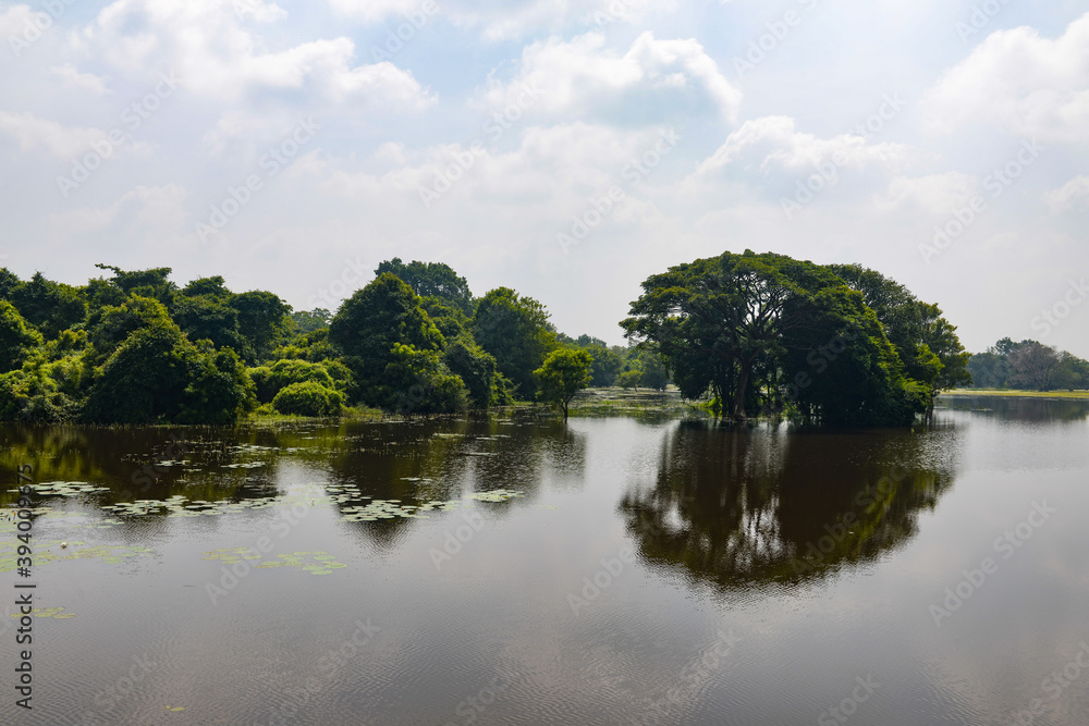 Bayou Sri Lankais