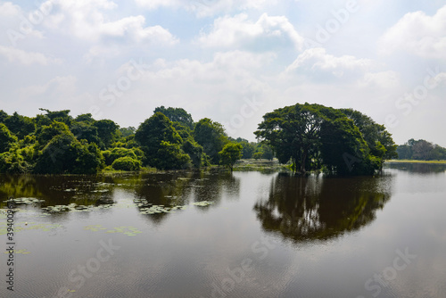 Bayou Sri Lankais © Didier