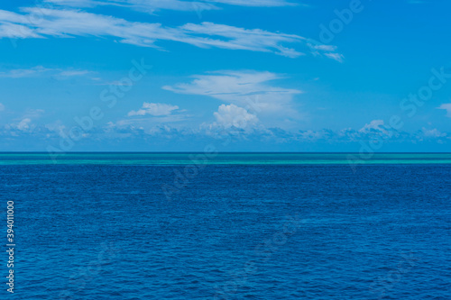 coral reef and blue sky