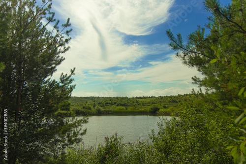 summer nature landscape green trees and lake scenic view in clear weather June morning