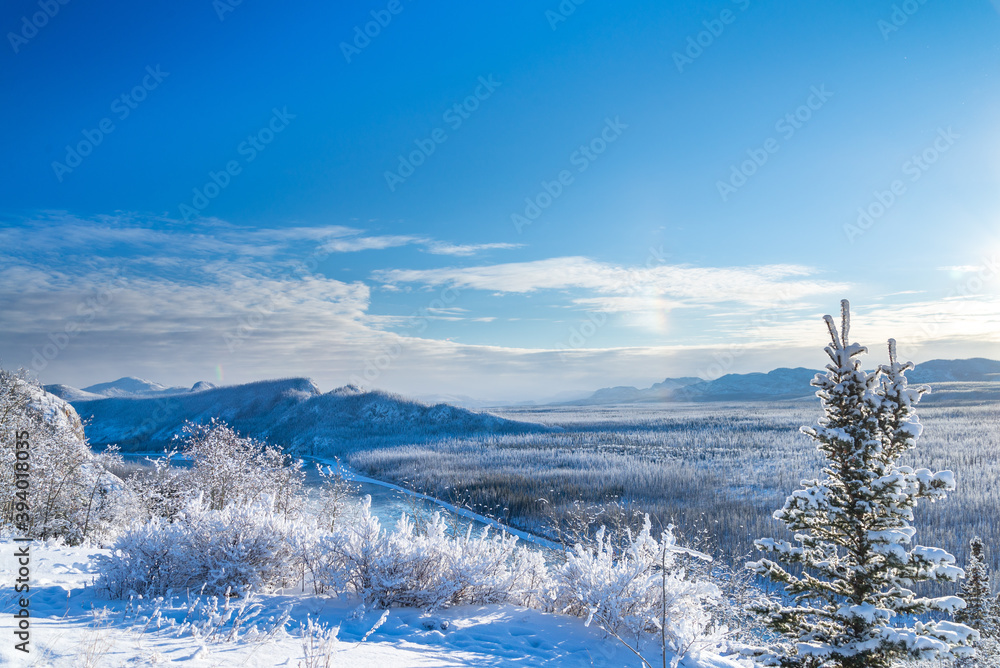 View of the Yukon wilderness during winter ground covered in snow on a beautiful sunny day with blue sky and clouds 