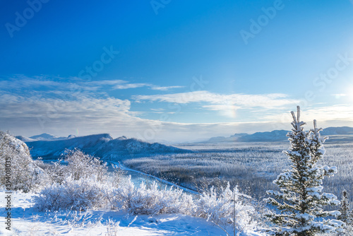 Fotografie View of the Yukon wilderness during winter ground covered in snow on a beautiful