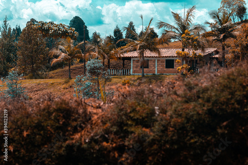 house in the mountains