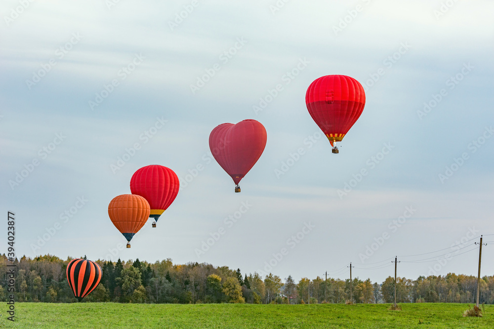 Naklejka premium Morning flight of the hot air balloons.