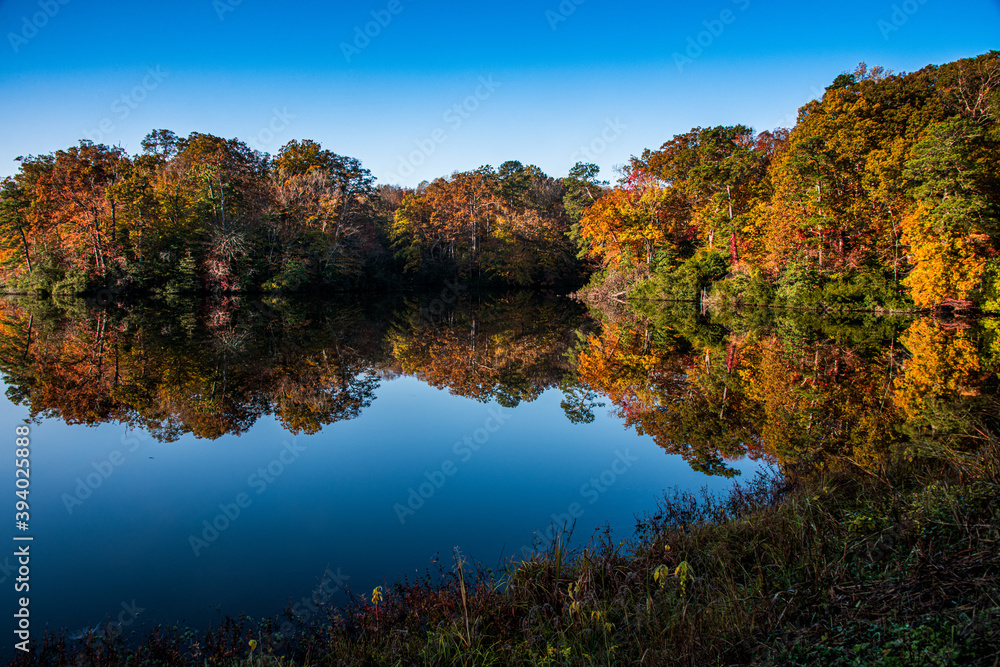 Colors reflected in the pond