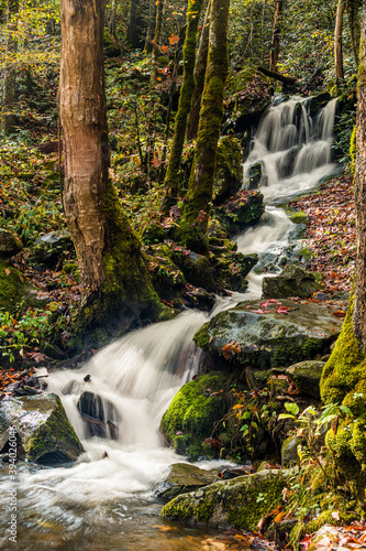 Fototapeta Naklejka Na Ścianę i Meble -  The Trickle waterfall in autumn