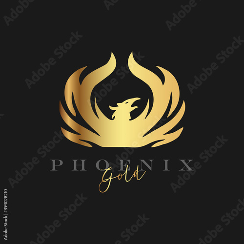 Gold phoenix logo design premium vector
