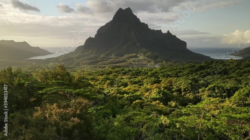 Aerial 4k view Tahiti : Tropical green jungle forest of Mount Rotui. Moorea, French Polynesia. Slow motion drone shot. Exotic travel vacation, paradise getaway, honeymoon destination.  