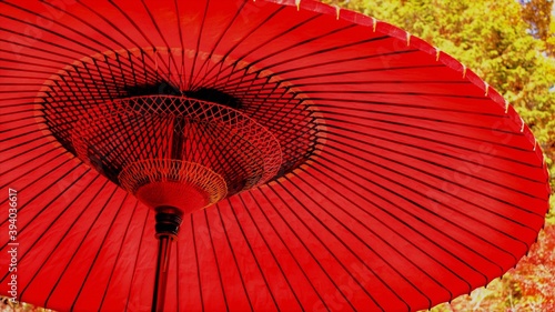 Red Japanese paper umbrella. Janome-umbrella. 