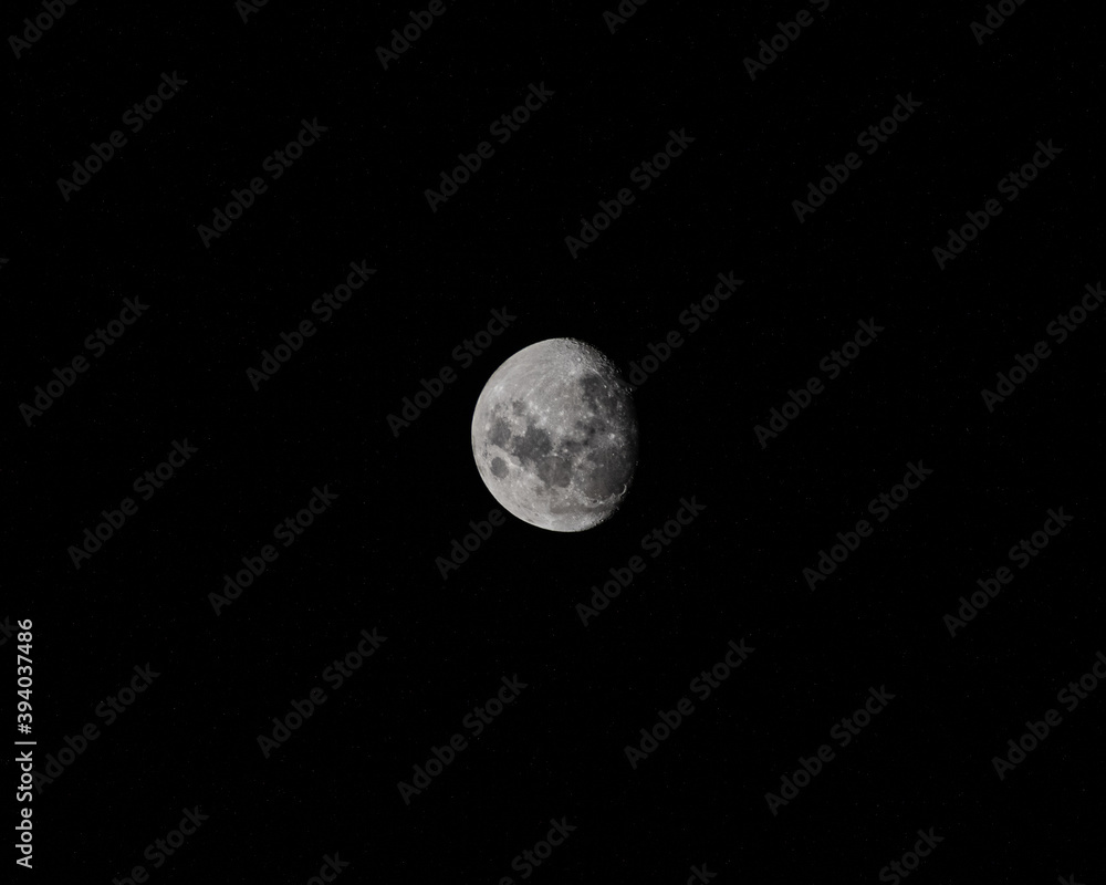 moon moon