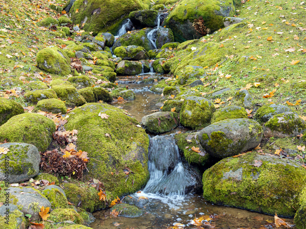 Beautiful autumn view Beautiful autumn view