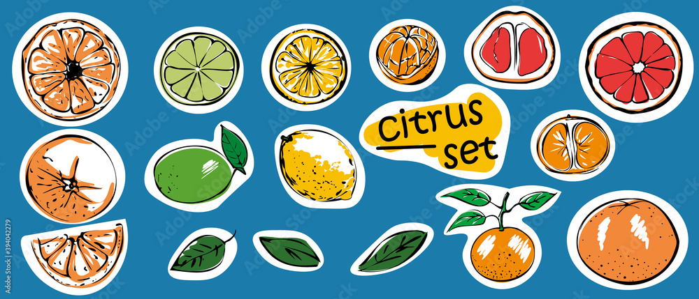 Set of sticker packs of citrus fruits. Whole and sliced Orange, tangerine, grapefruit, lemon, lime. Isolated vector illustration on a blue background. Set of sticker packs of citrus fruits. Whole and sliced Orange, tangerine, grapefruit, lemon, lime. Isolated vector illustration on a blue background.